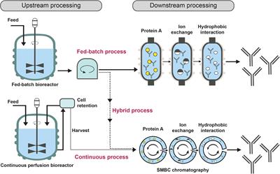 Cost of Manufacturing for Recombinant Snakebite Antivenoms